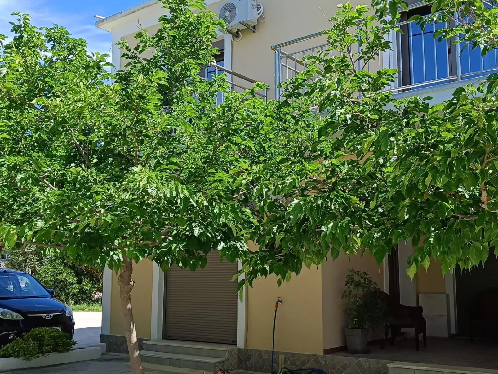 Hübsche Ferienwohnung in Skiathos-Image-tags.info