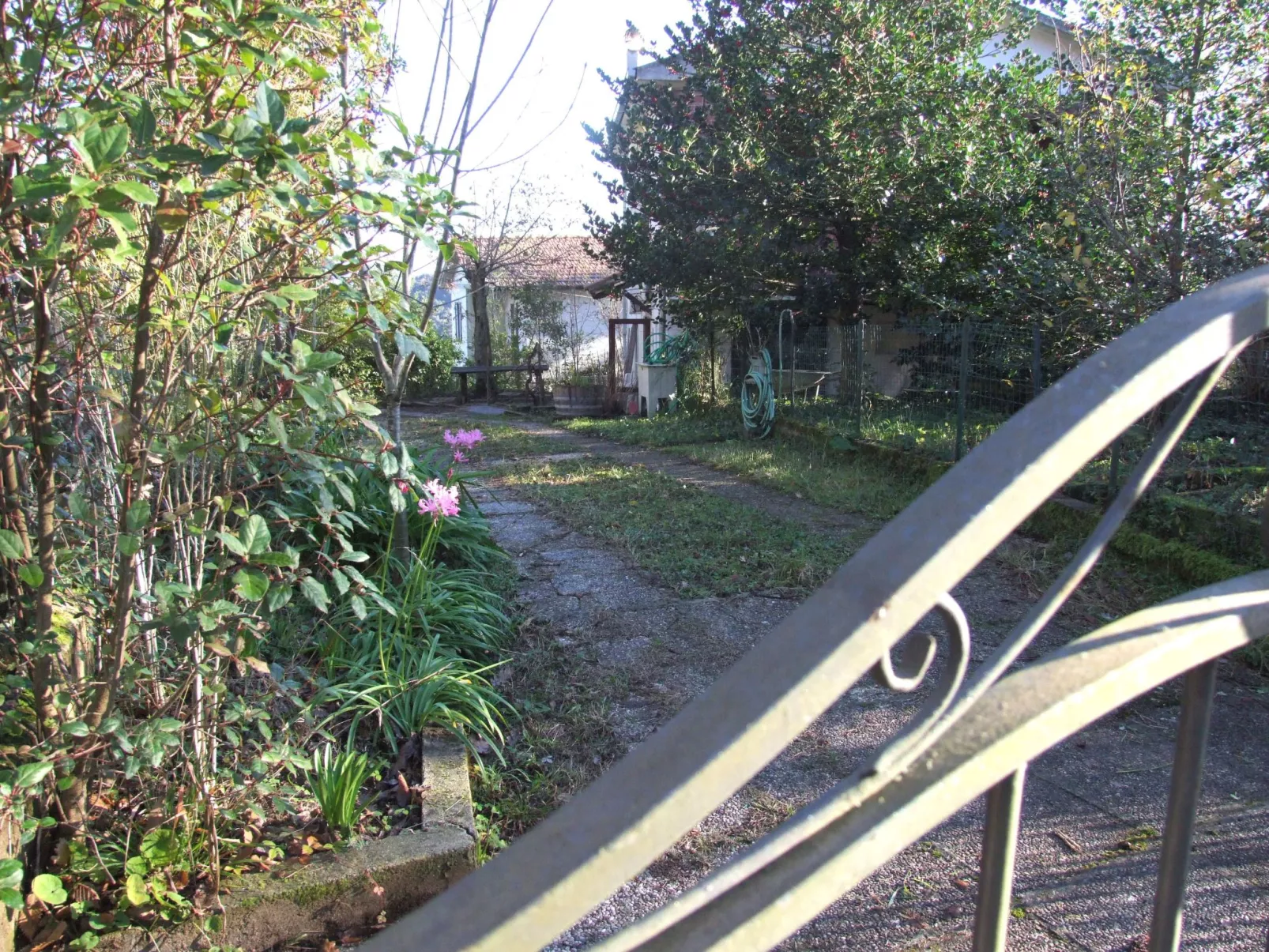 Violetta von Holiday World-Buiten