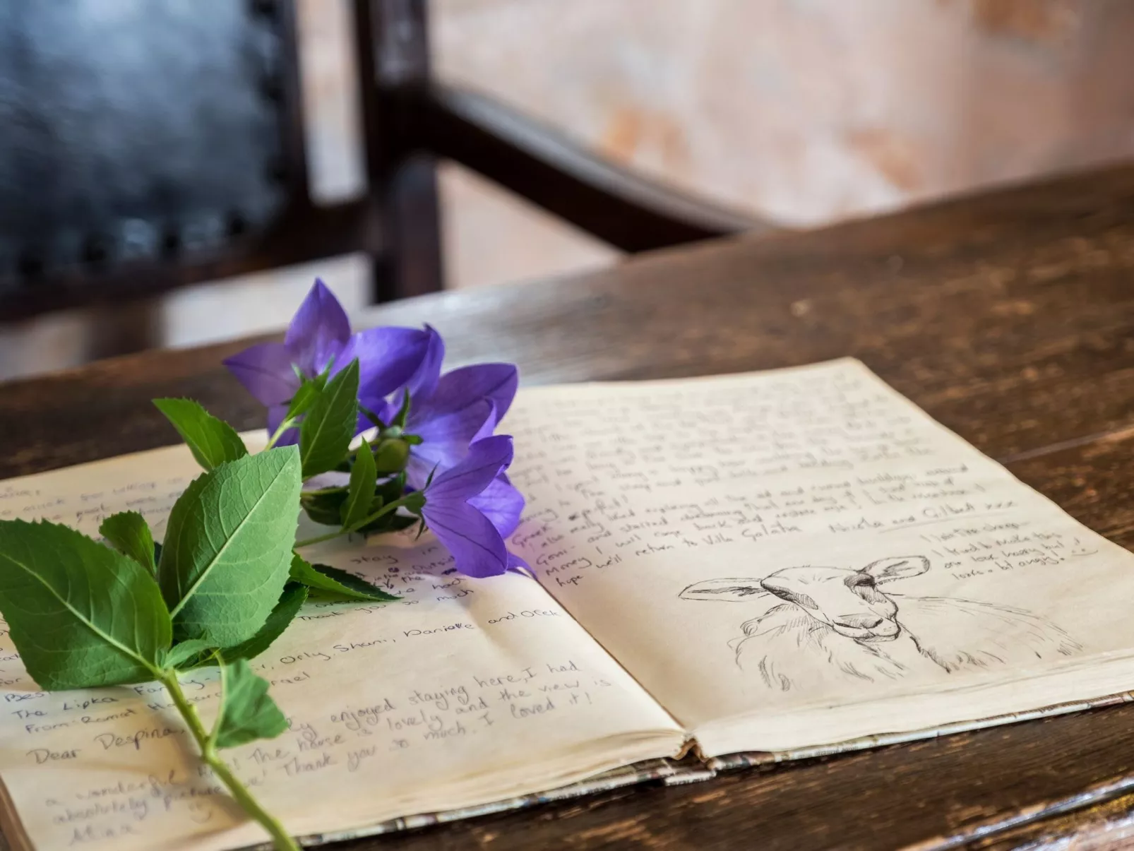 Villa aus Stein "Galatia"-Image-tags.info