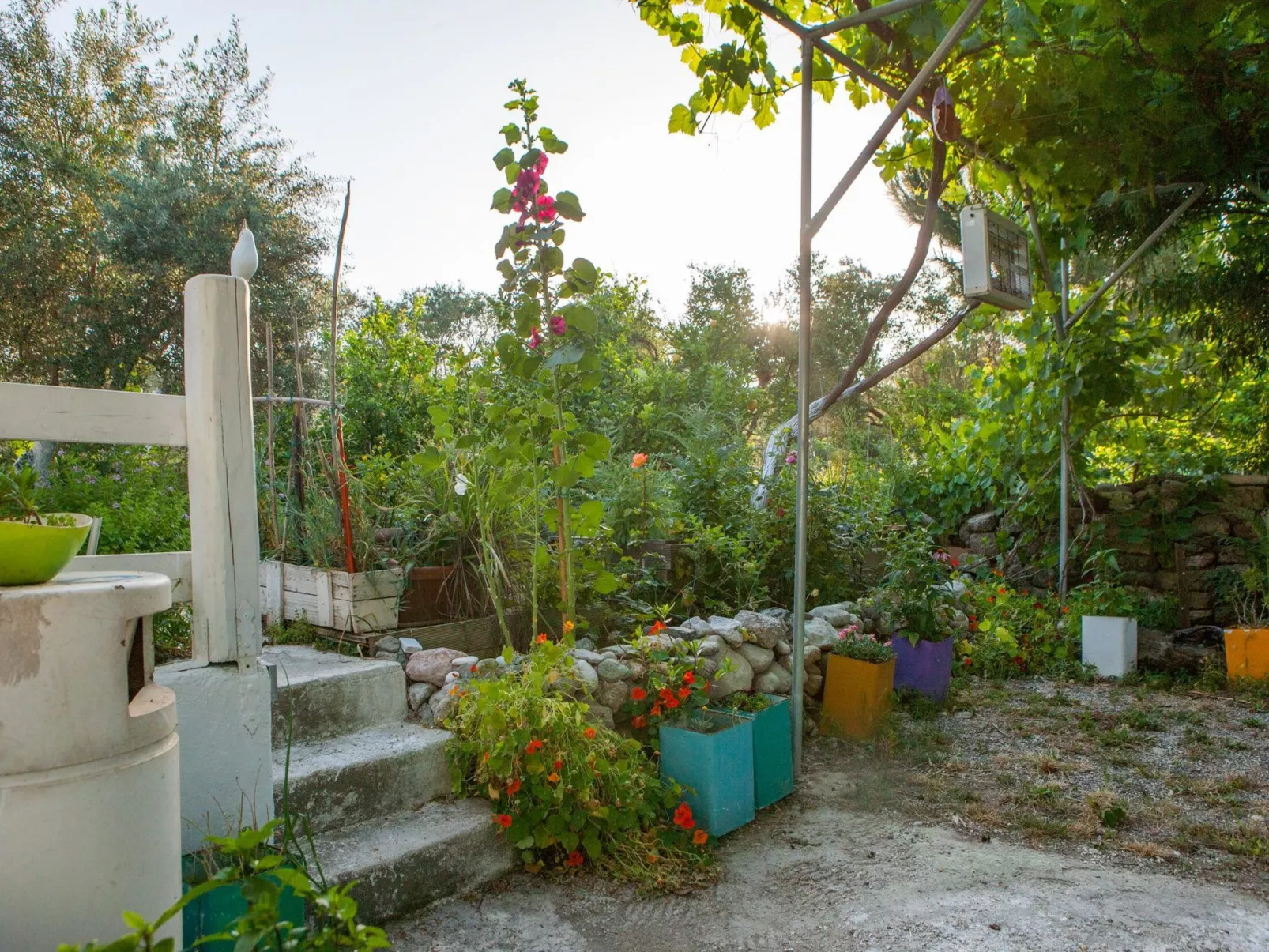 Hütte mit eigenem Garten und Grill-Image-tags.info