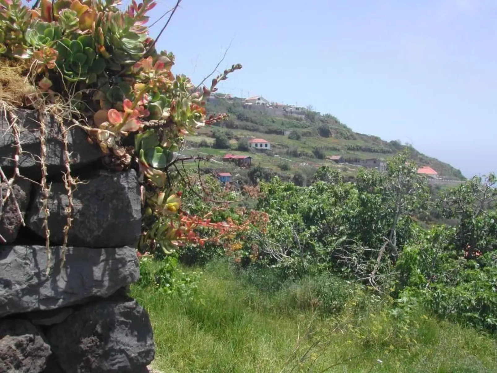 In Canhas mit Schönem Garten-Buiten
