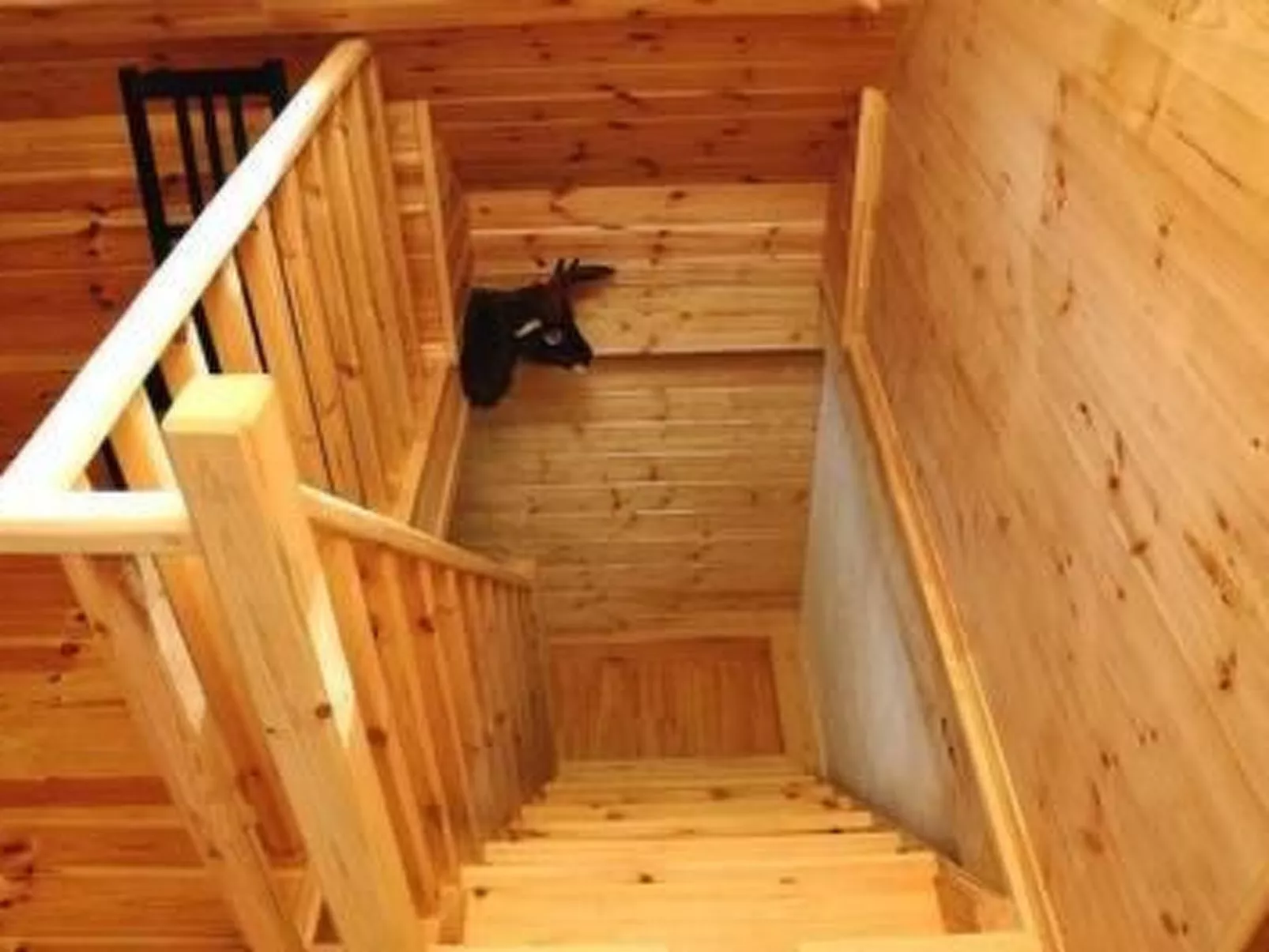 Charmante Waldvilla Dzukijos Uoga am See-Binnen