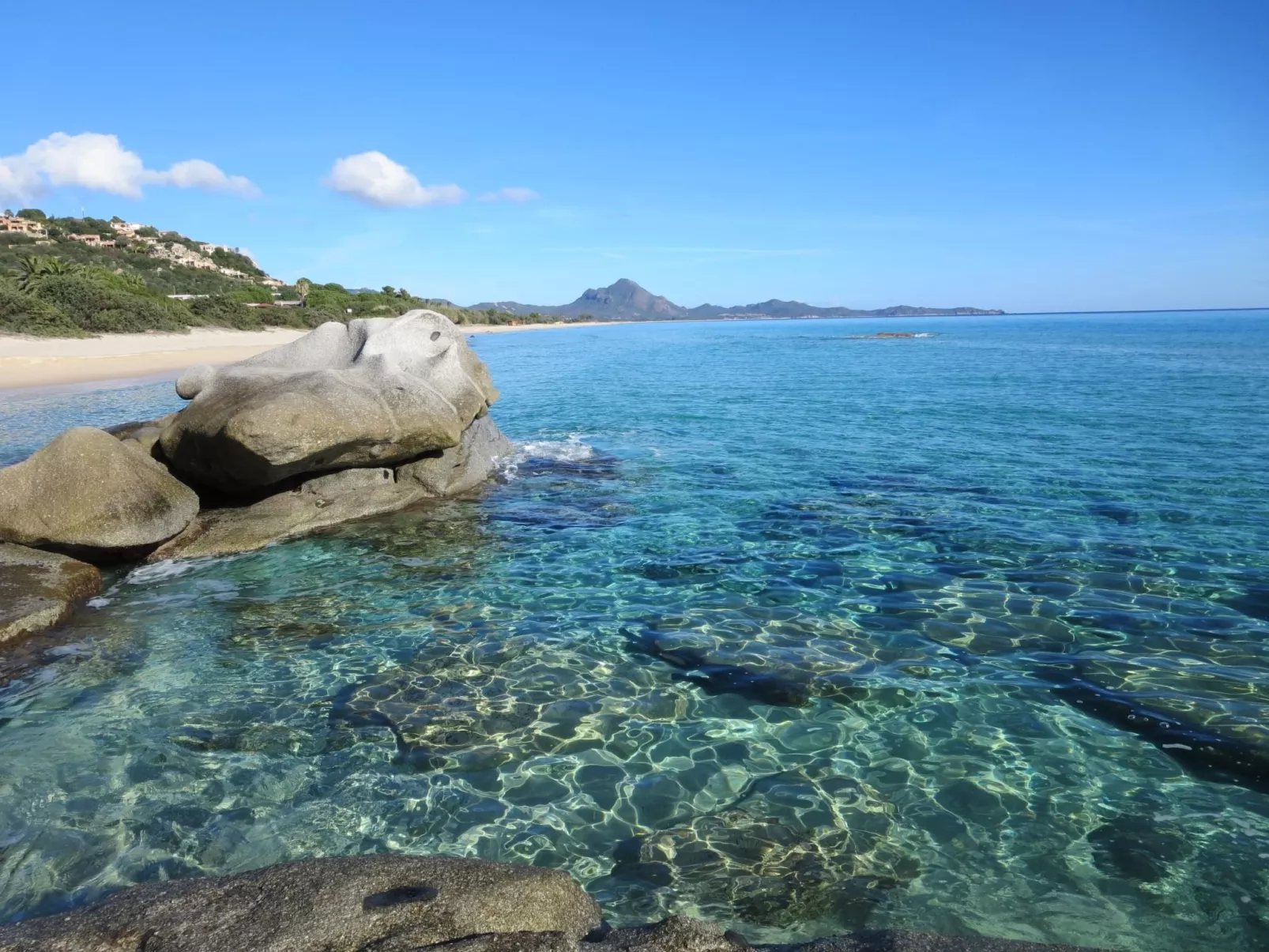 Quadri blue-Image-tags.info