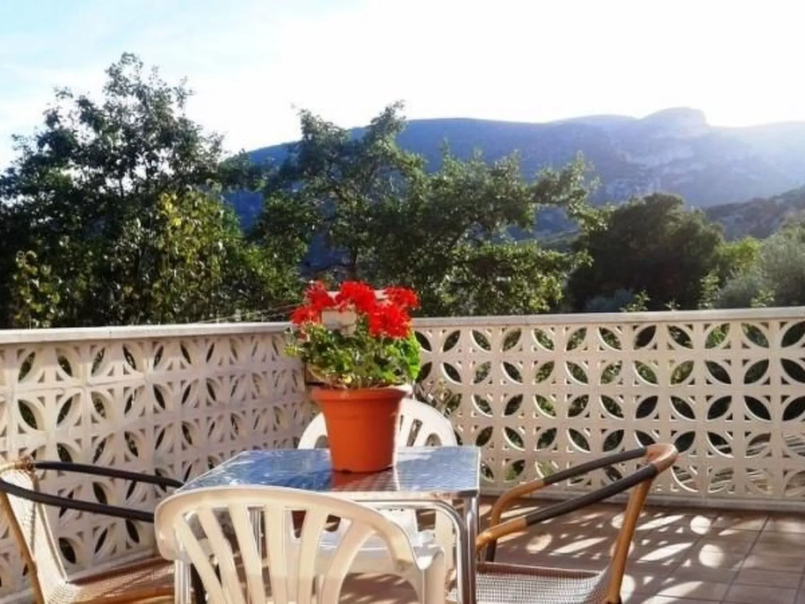 Javier Haus-Image-tags.info