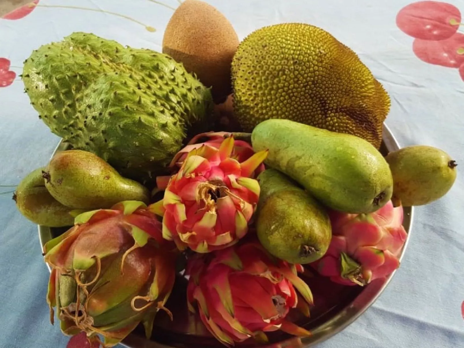 Finca Villa Clara 4-Image-tags.info