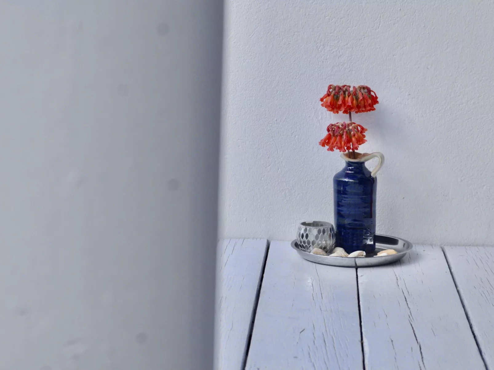 Appartement Casa Hibisco mit schönem Garten-Binnen