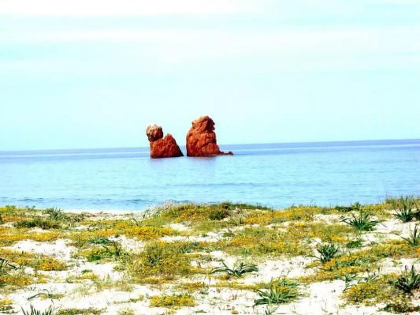 Haustierfreundliches Apartment, mit Meerblick-Image-tags.info