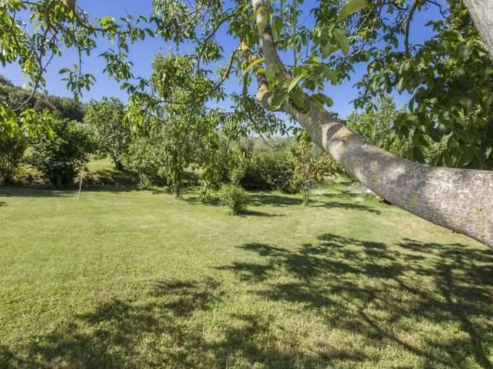 Ihr Zuhause in der Ferne - Buiten