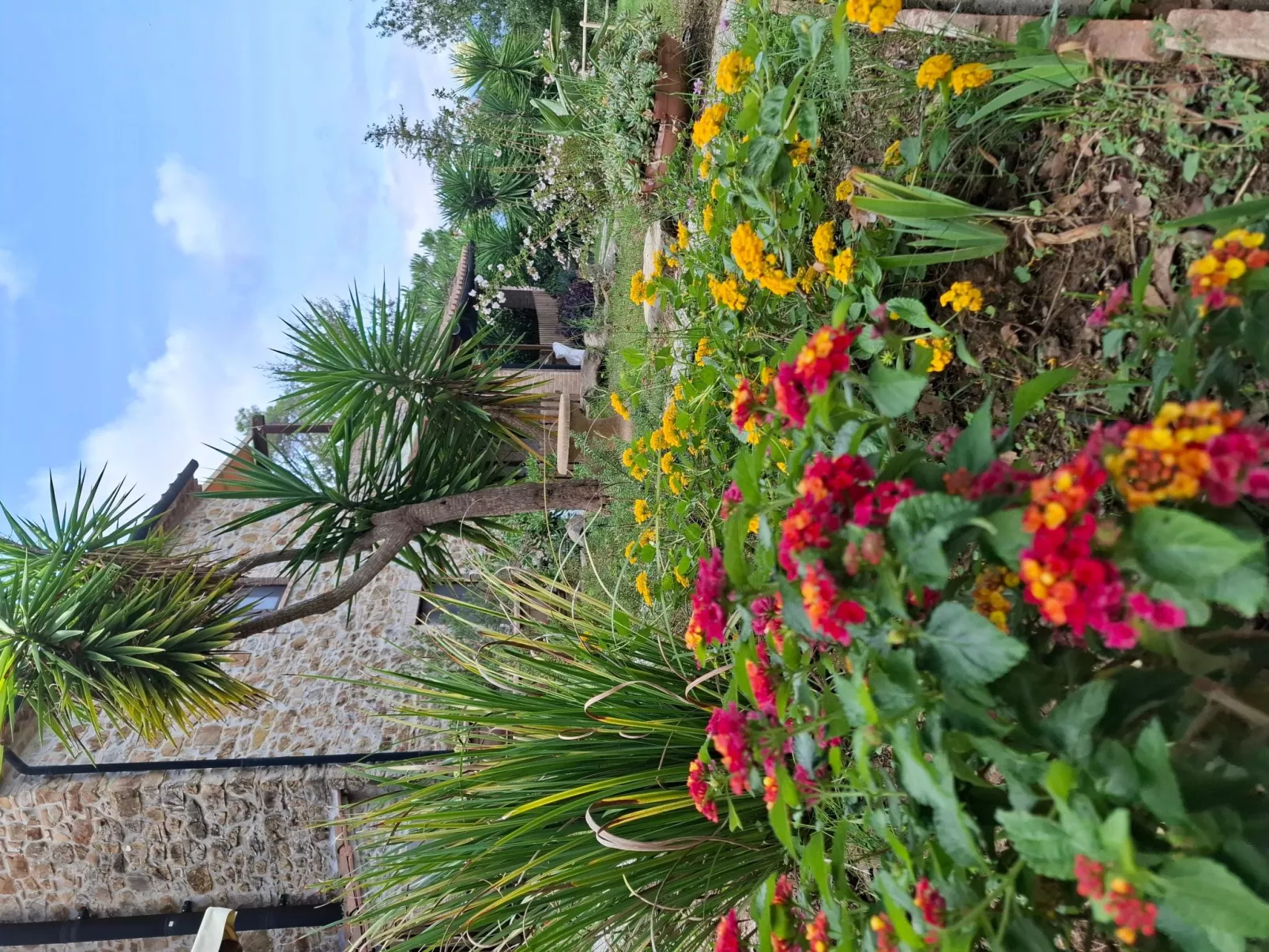 Bauernhauswohnung mit großer Terrasse-Buiten