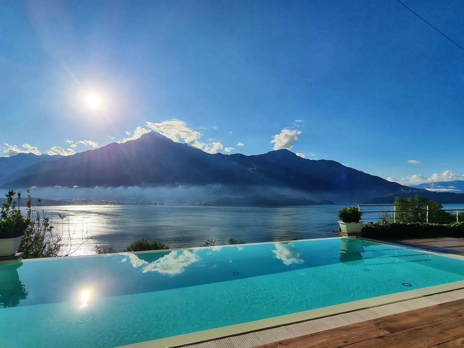 Camelia-Image-tags.info