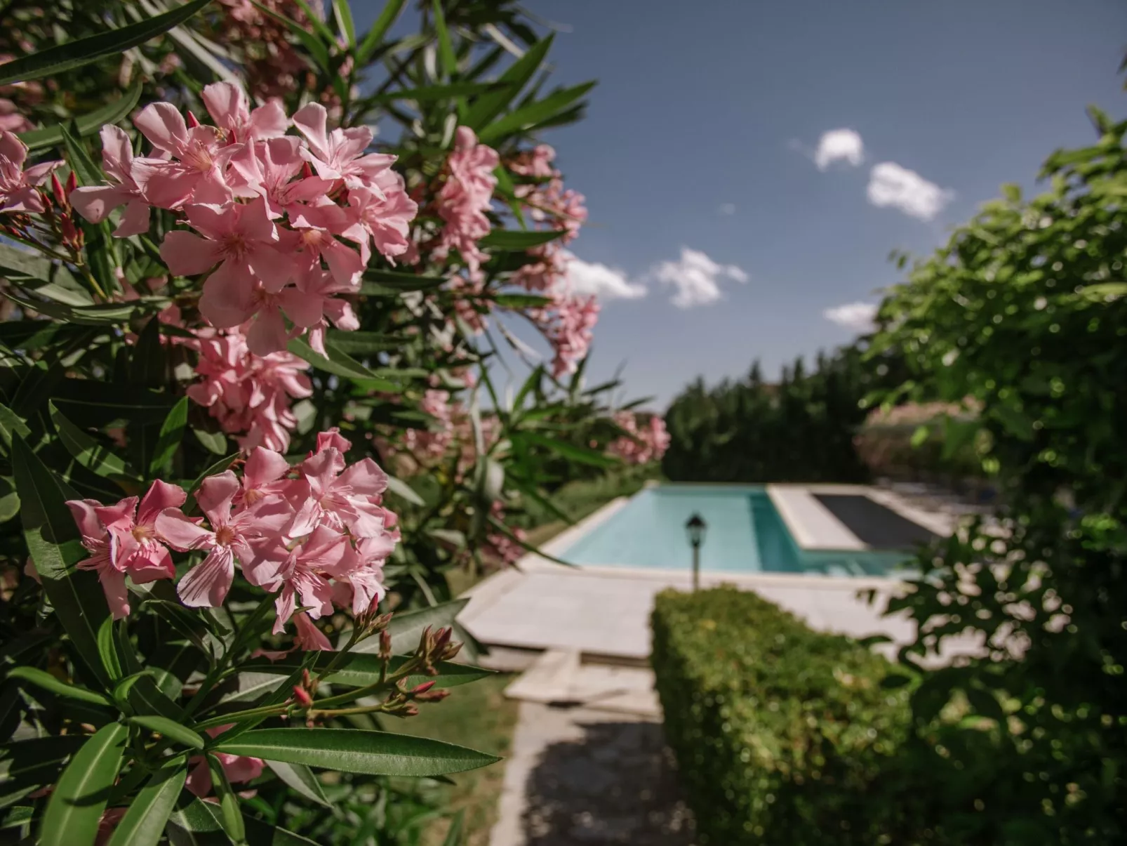 Barolo' Wohnung mit Gemeinschaftspool-Buiten