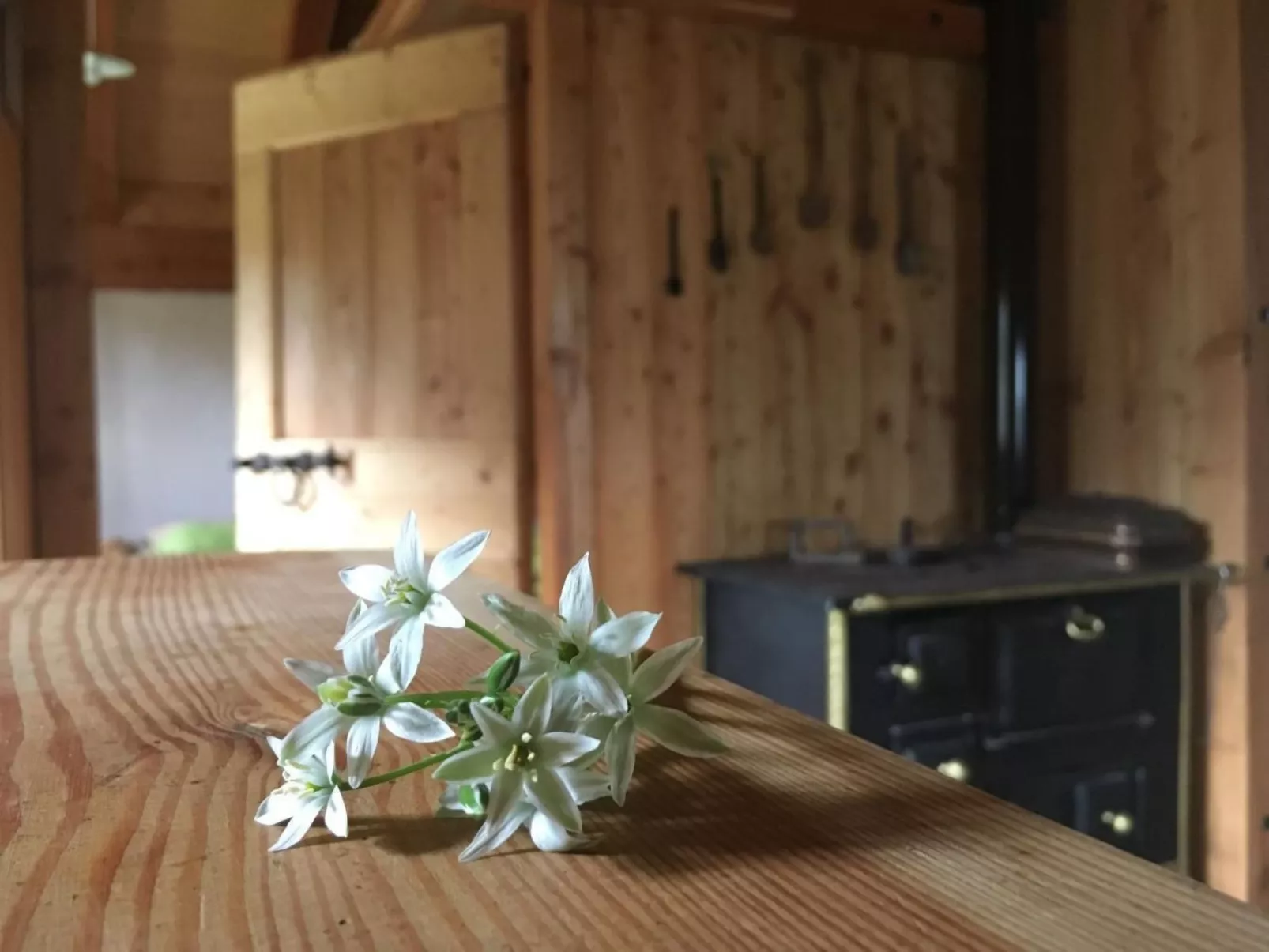 Mit Sauna in Pieve Di Bono-Binnen