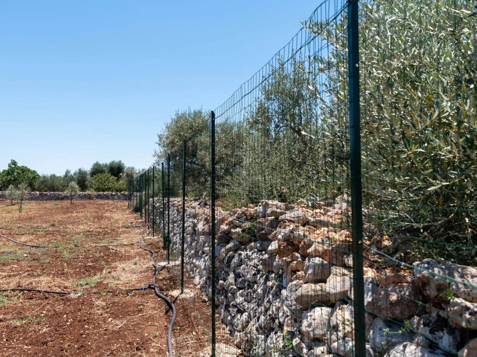 Villa Gioena mit Pool-Image-tags.info