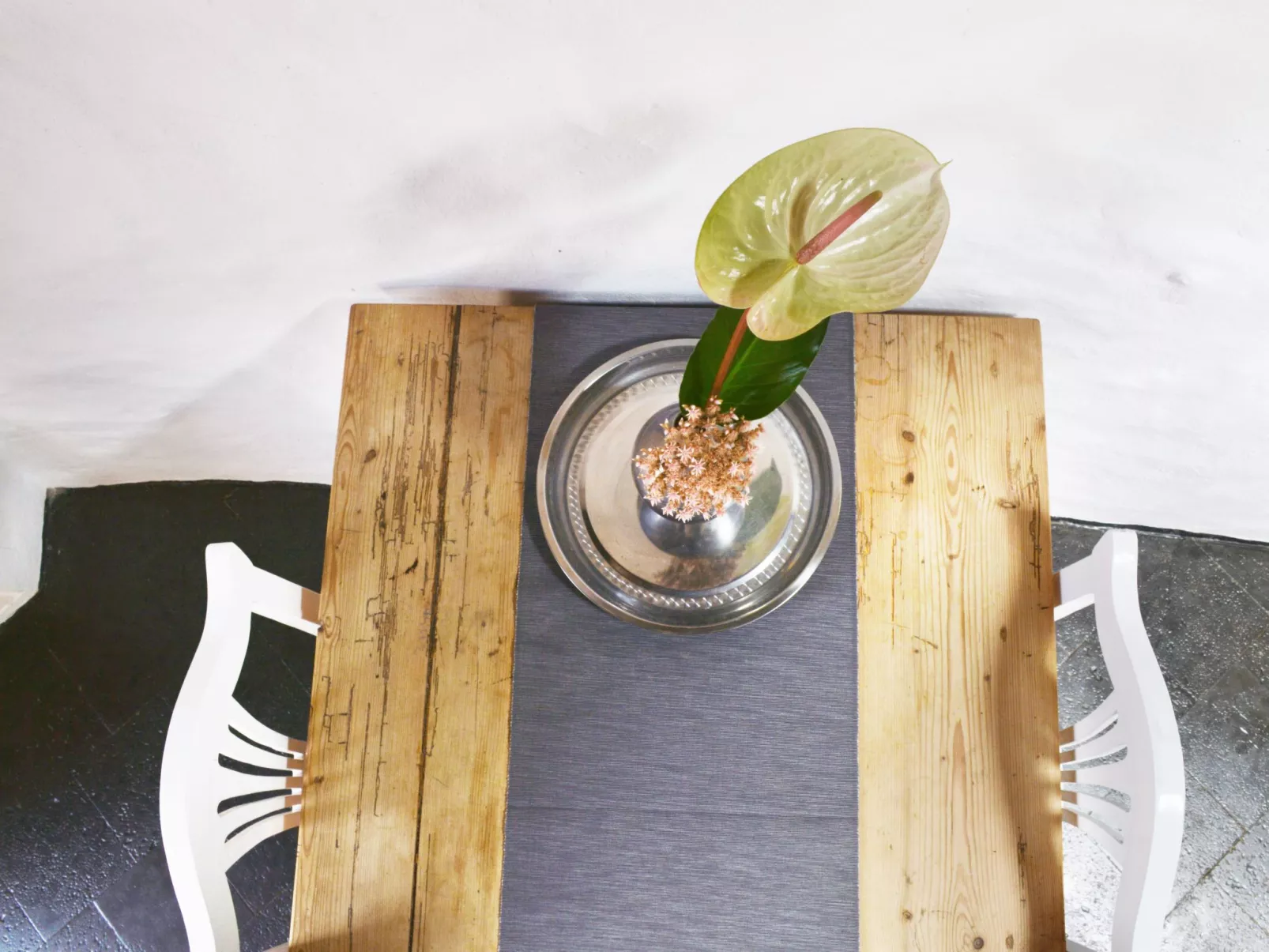 Casita Aloe in Uga-Image-tags.info