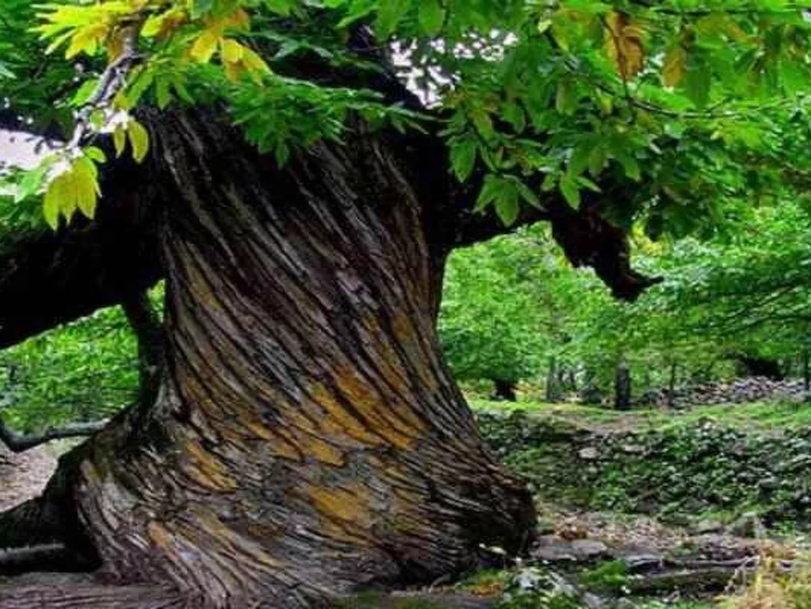 Ideales Refugium in Extremadura Komfort und Natur-Buiten