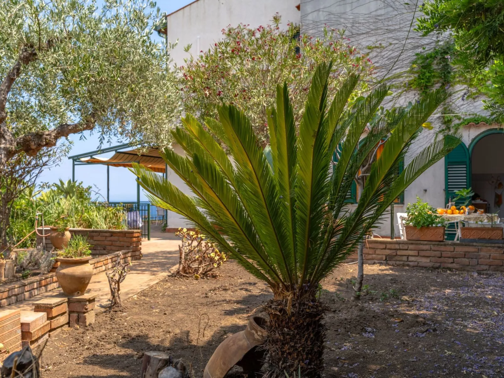 Angelo's Haus-Buiten