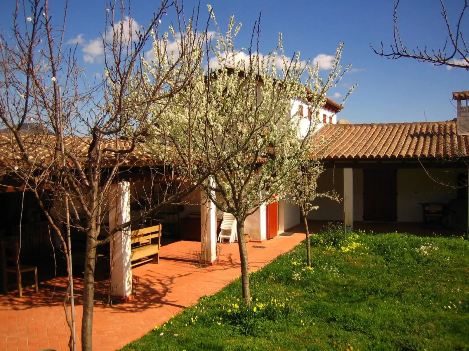 Natur, ökologische Nachhaltigkeit, nur für Erwachsene, Meer in der Nähe-Image-tags.info