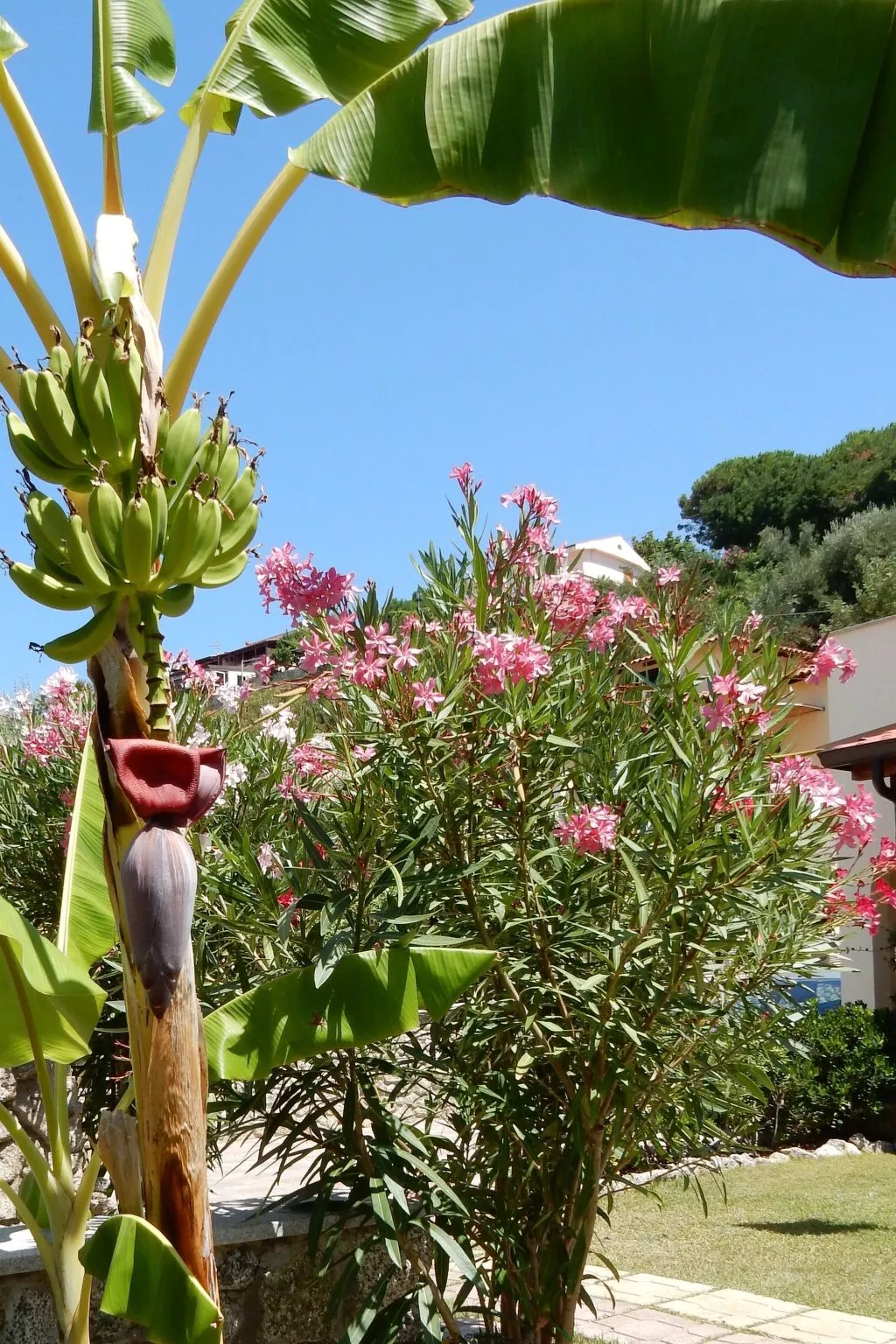 LeCasetteSulMare - Komfort mit Meerblick-Image-tags.info