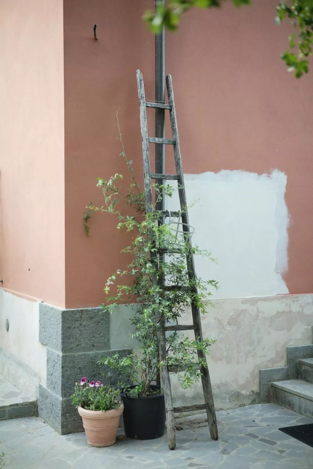 'Merula Antica Dimora'-Image-tags.info