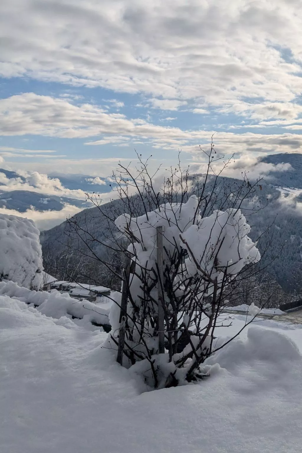 App. Haselstaude-Buiten