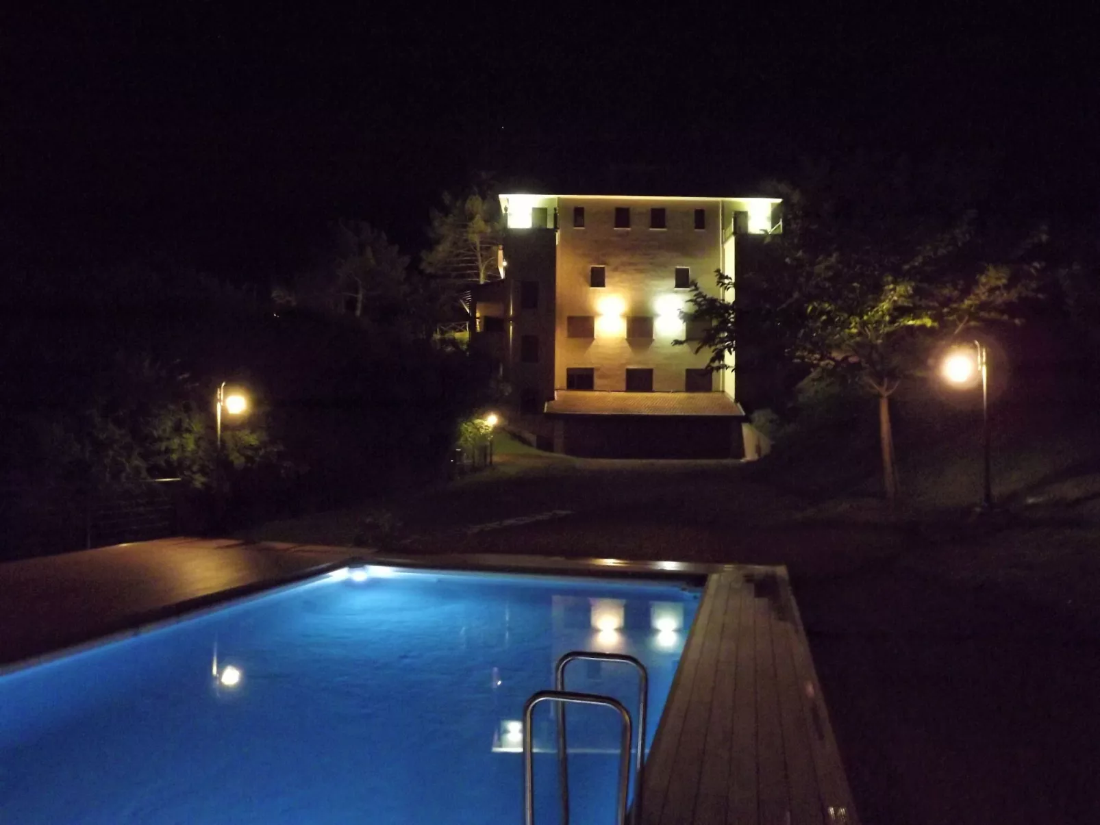 Flache Kornblume-Image-tags.info