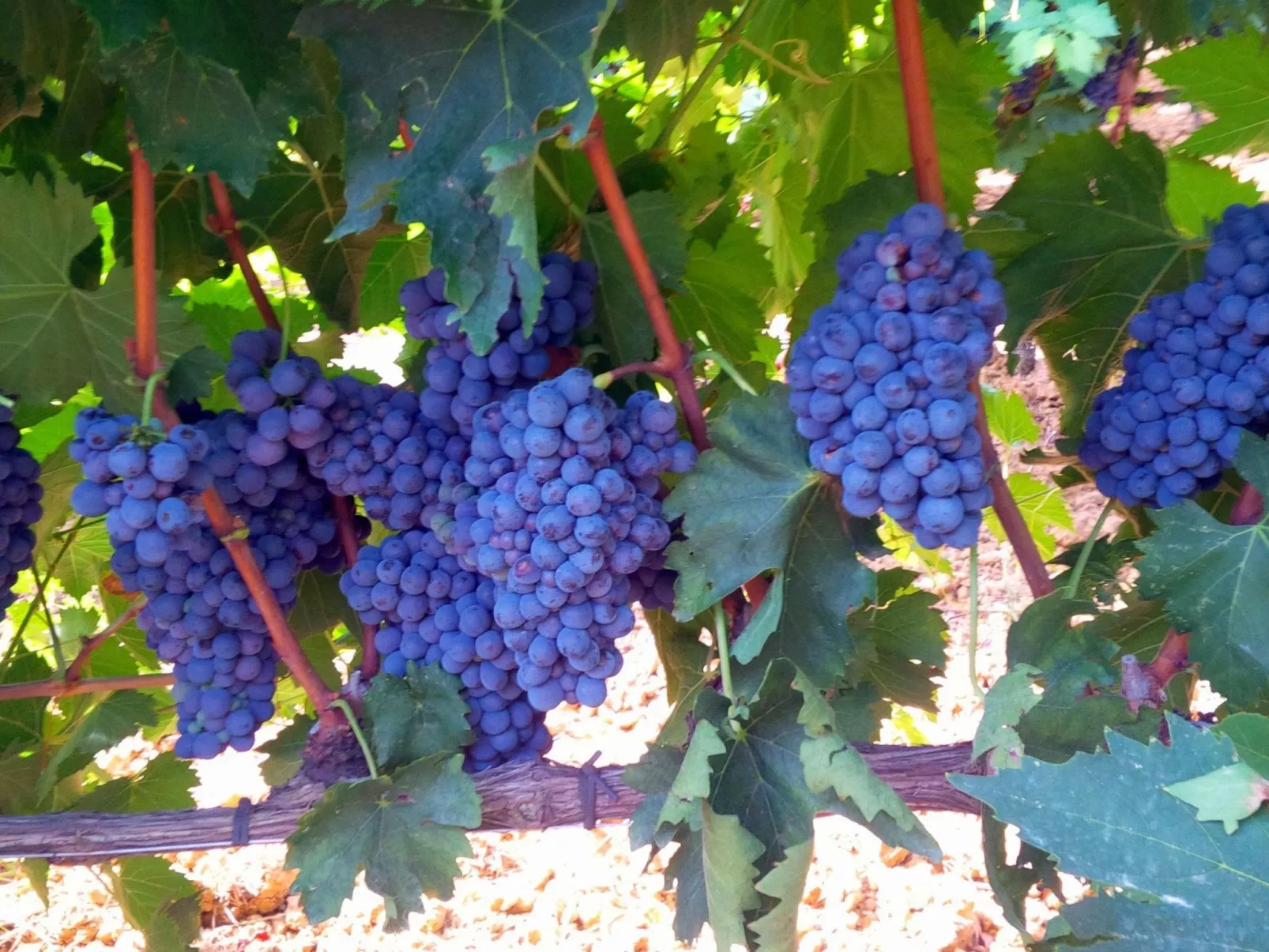 Anwesen mit Gemeinschaftspool-Image-tags.info