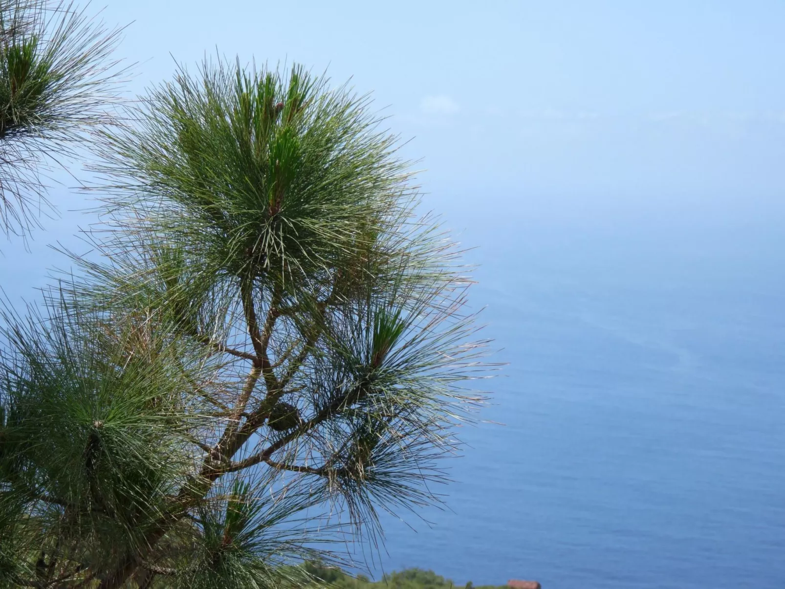 Ruhige Finca Topo del Drago mit Meerblick-Buiten