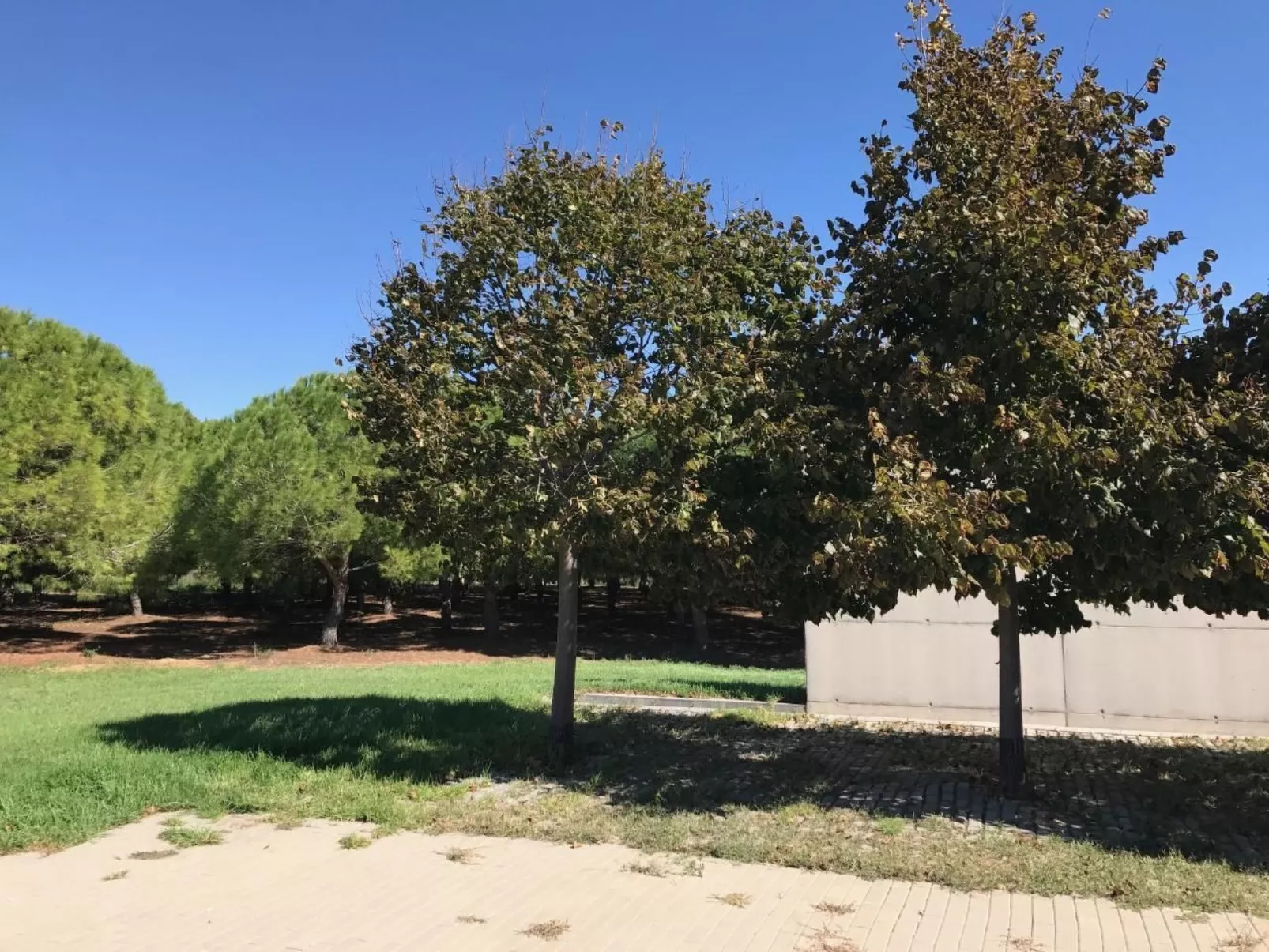 Design Vila mit Pool-Image-tags.info