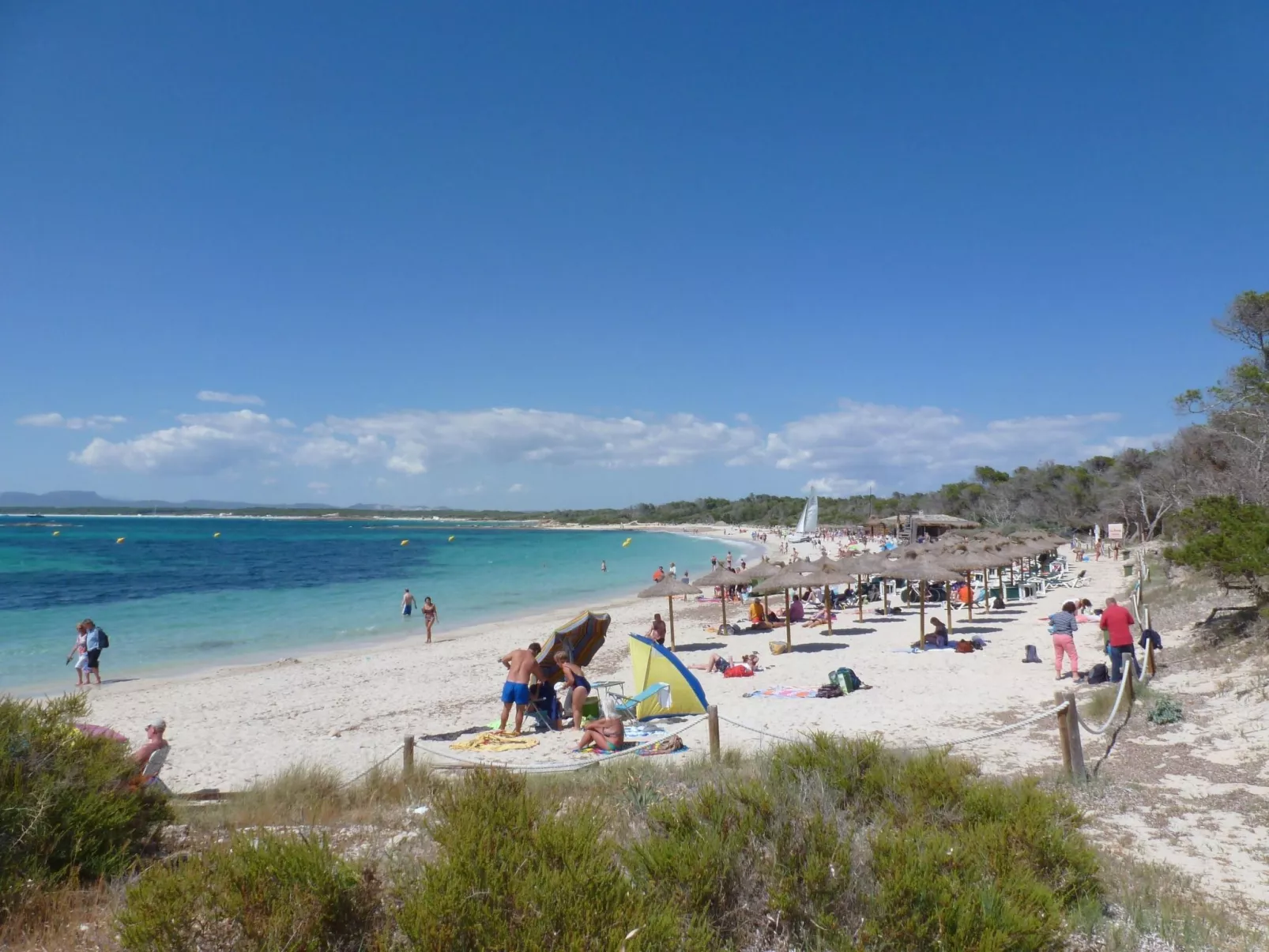 In Campos mit Privatem Pool-Image-tags.info