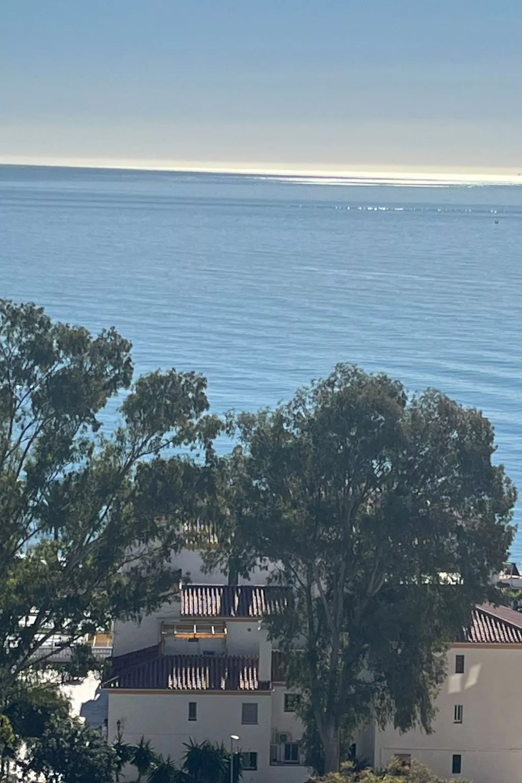 Nationen-BenAlma-Image-tags.info