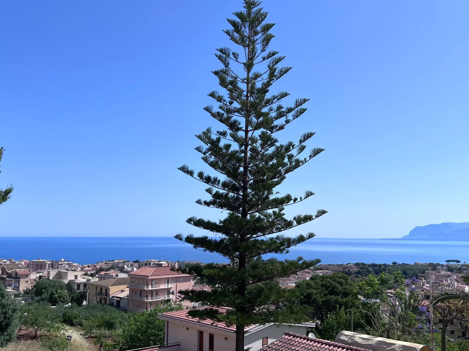 Studio-Wohnung "P Melograno" mit Pool-Buiten