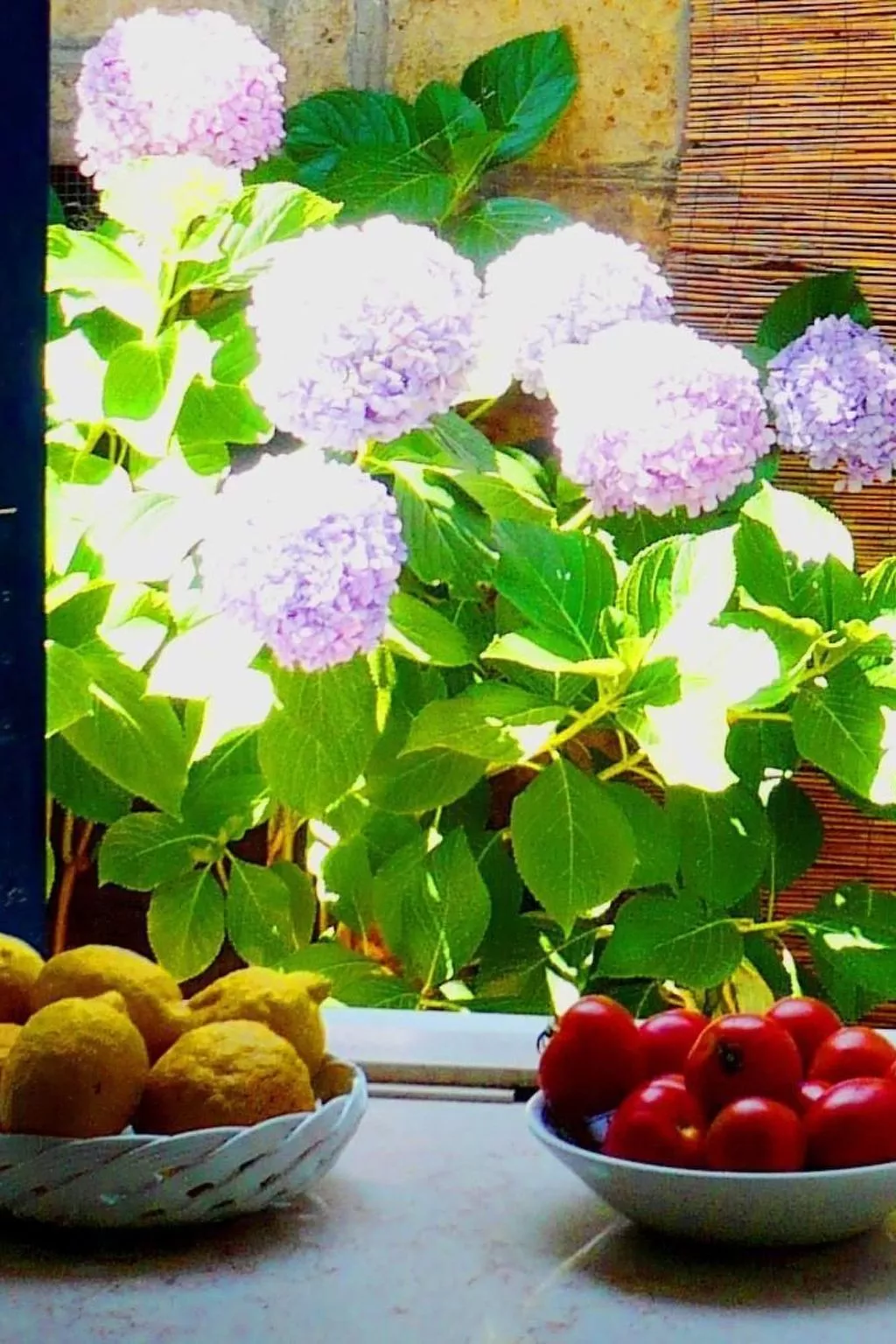 La Terrazza - Image-tags.info