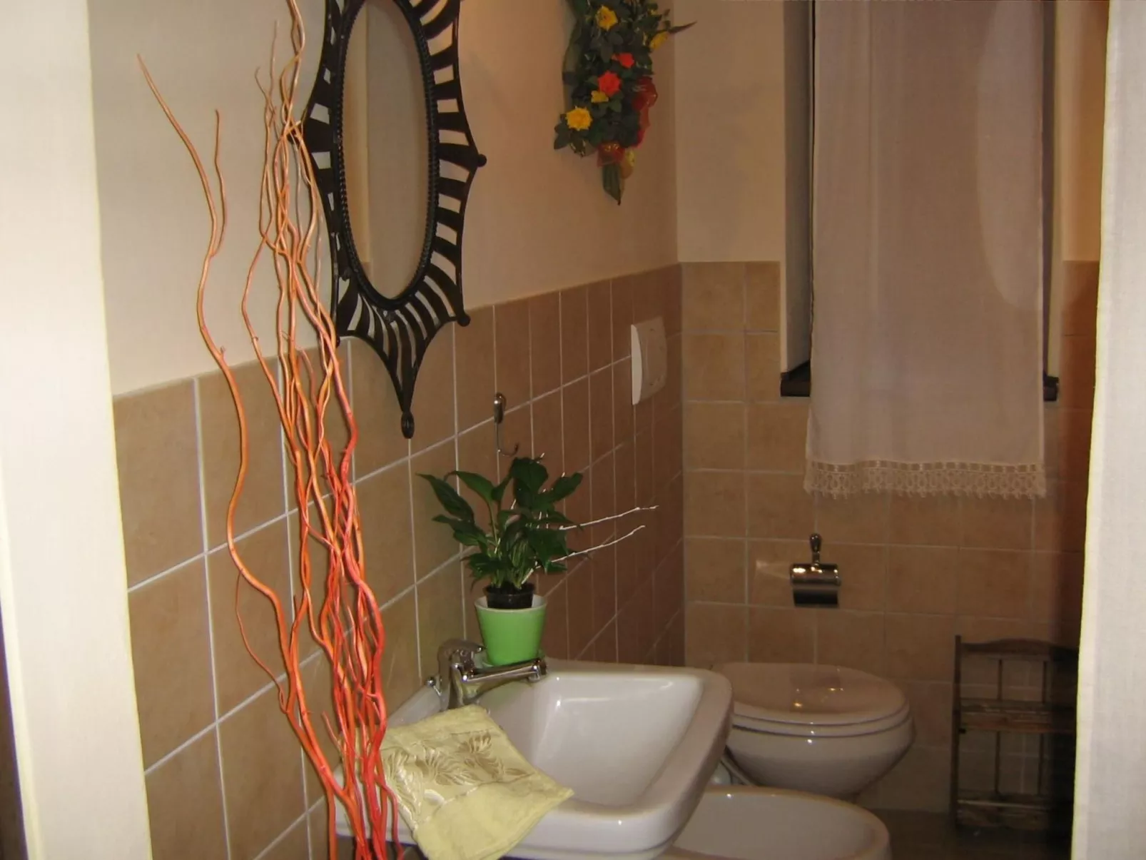 Rose in Cagli-Image-tags.info