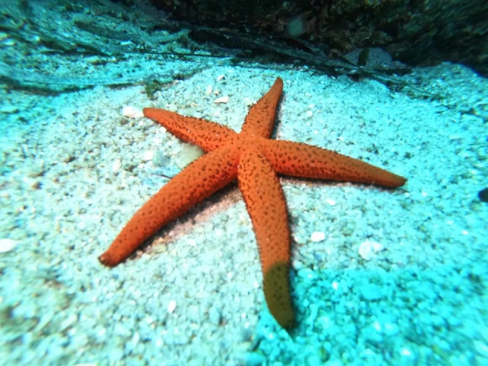 Casa Tre Rose-Image-tags.info