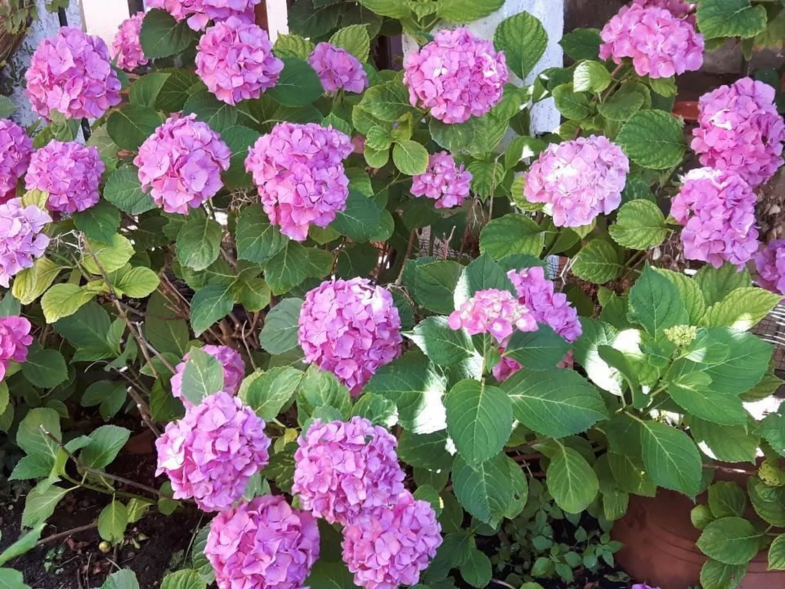 Mit Wasserblick-Buiten