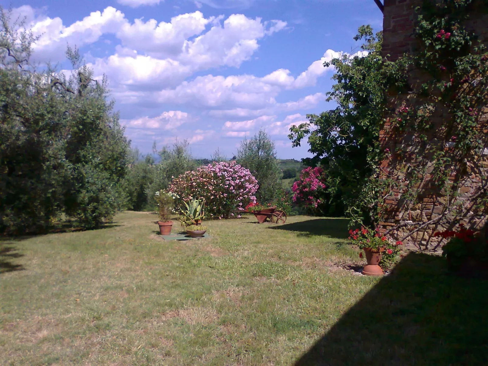 La Terrazza-Image-tags.info