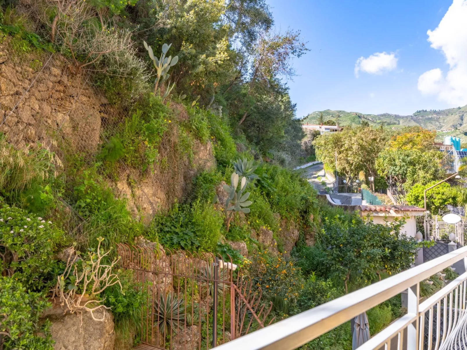 Blue Mary-Image-tags.info