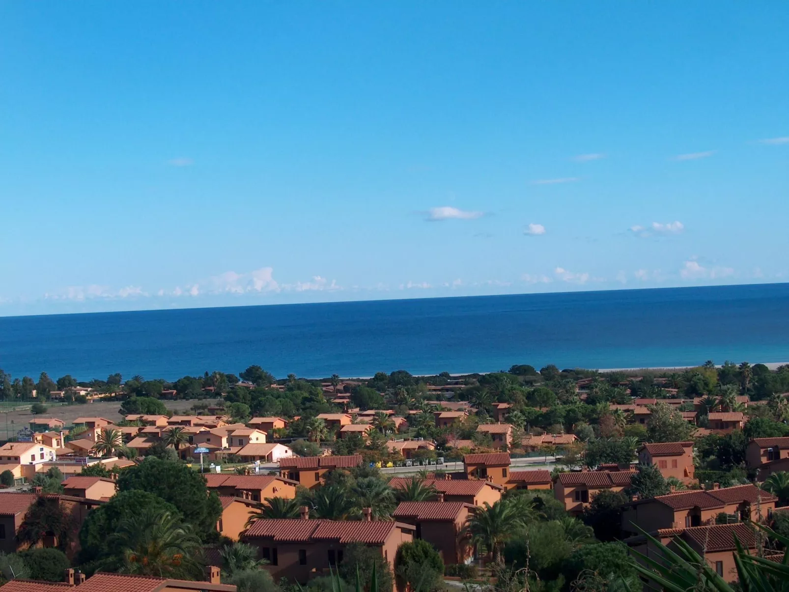 Trilo Alex-Image-tags.info