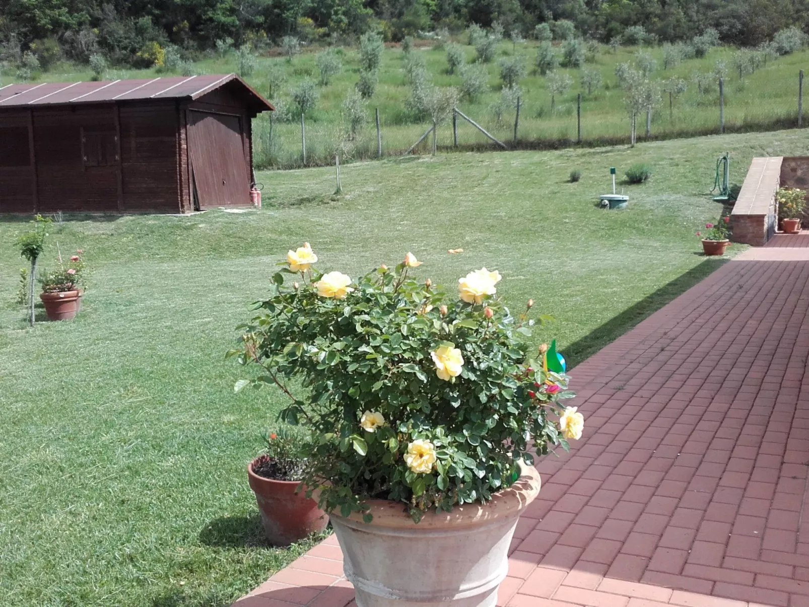 Agritourismus Val di Sterza-Buiten