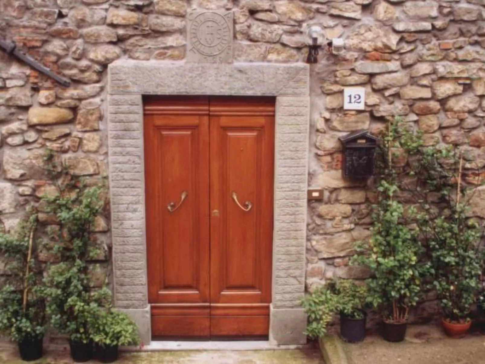 Dubbione-Image-tags.info