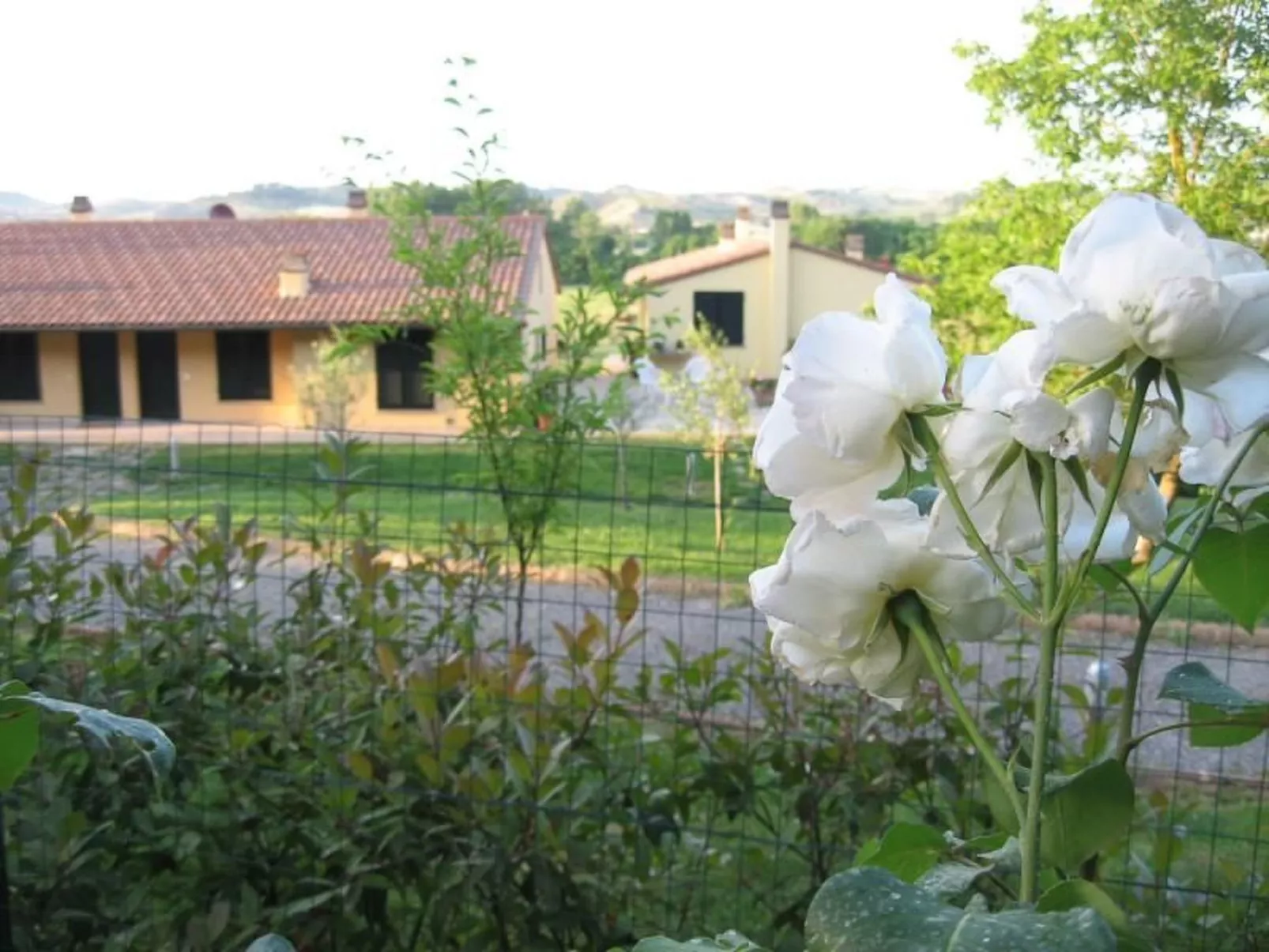 Lo Strettoio Wohnung mit Gemeinschaftspool-Buiten