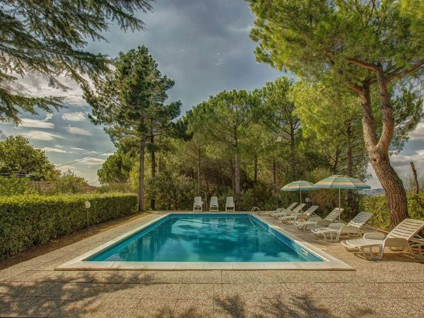 'Donatello leccino'-Buiten