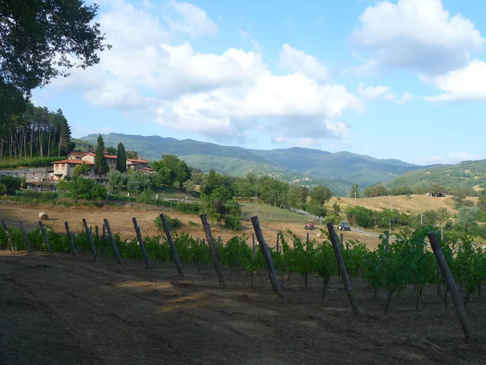 Lindenhaussiedlung mit Gemeinschaftspool-Buiten
