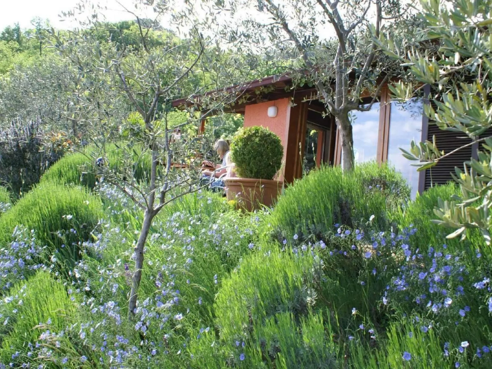 Oliveto Tignale-Buiten