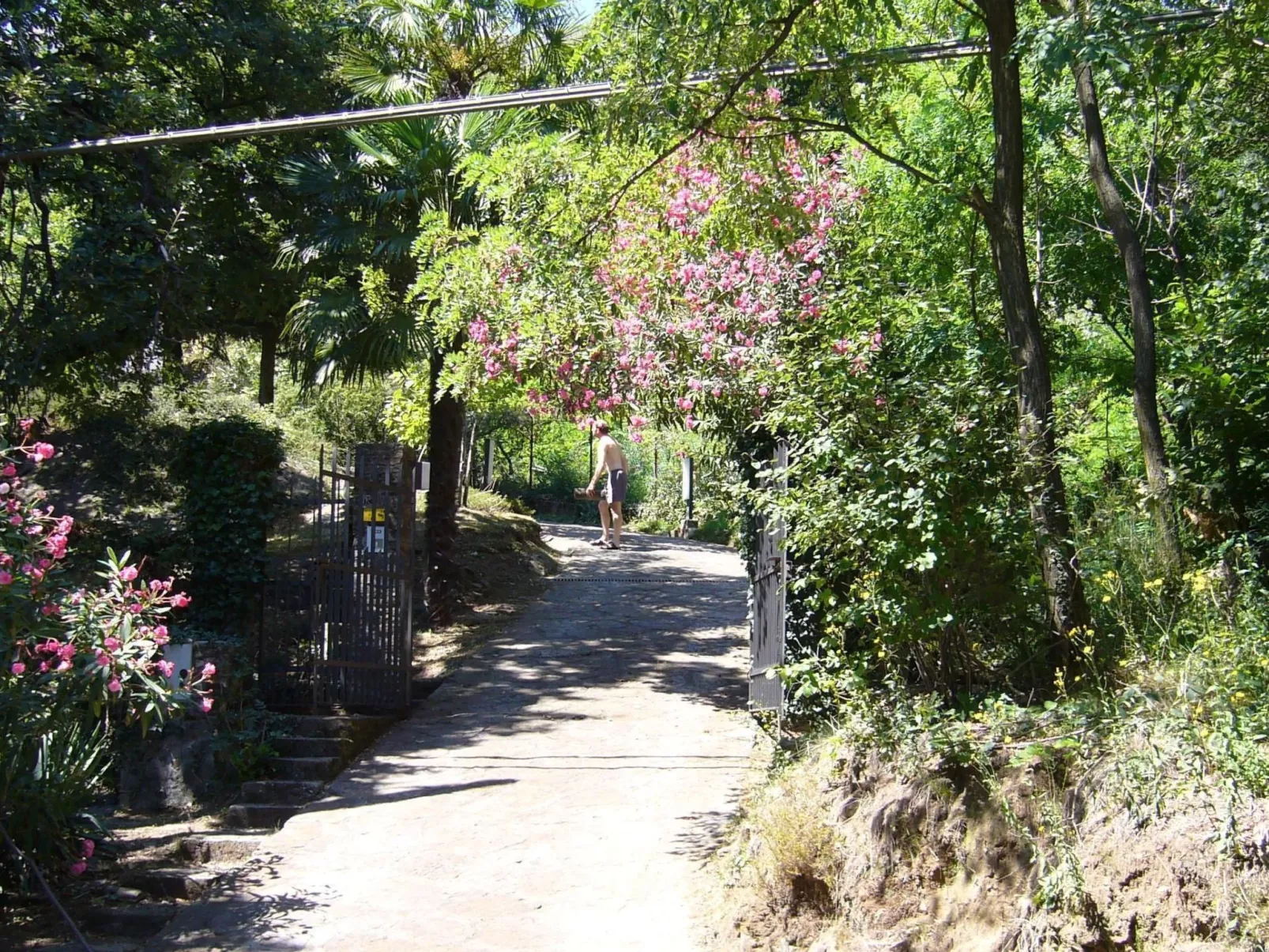 Casa Tornina-Image-tags.info