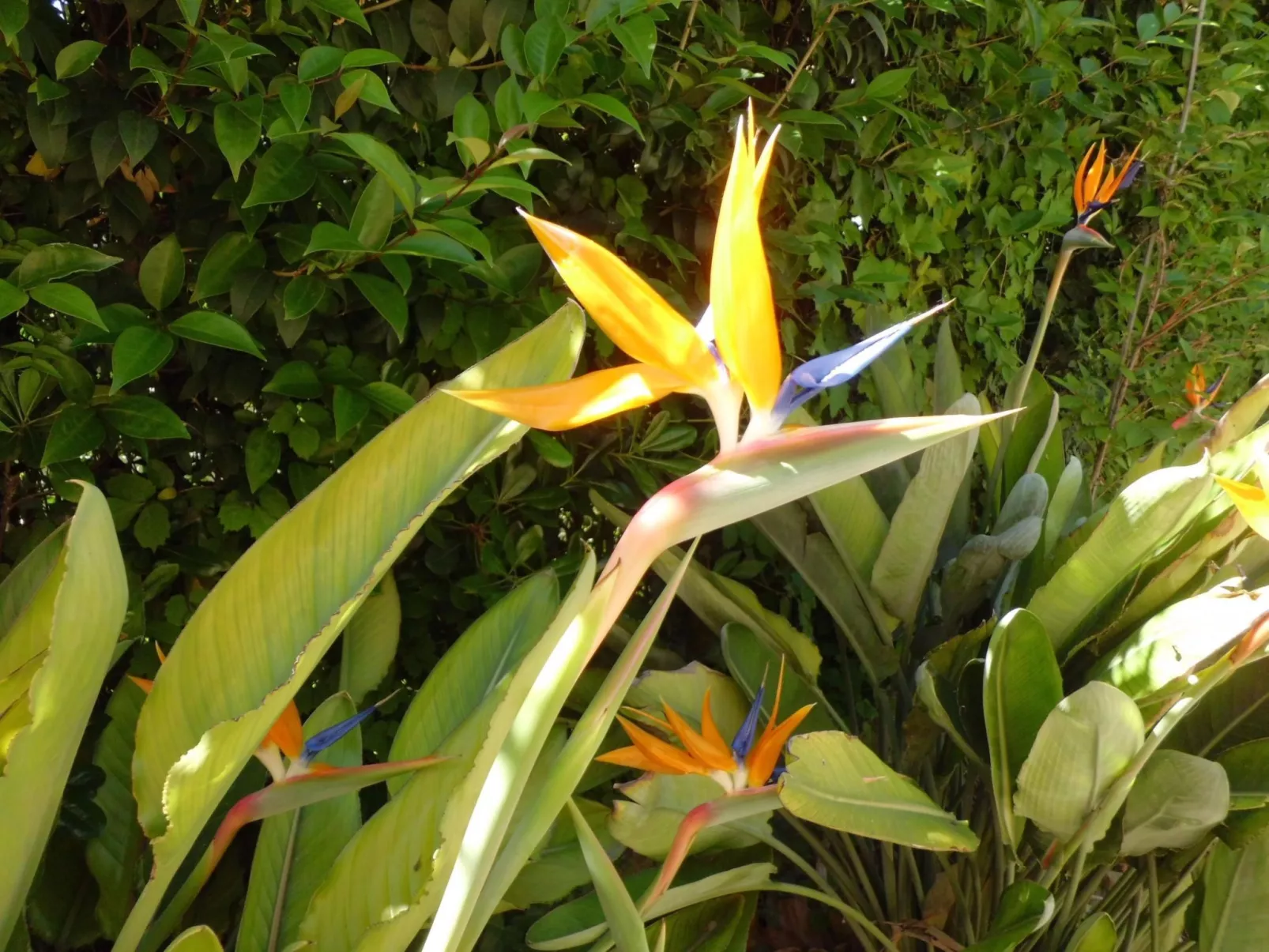 Appartment Laura-Buiten