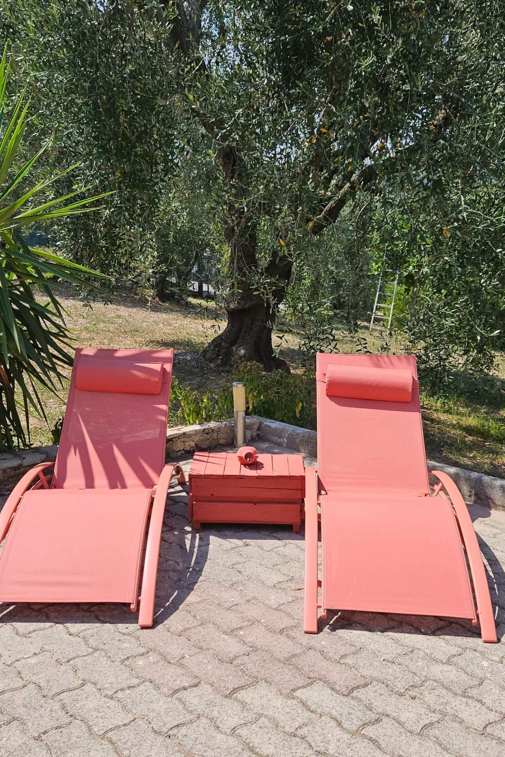 Zwei-Zimmer-Ferienhaus 11 in der Residenz Liberato Peschici-Image-tags.info