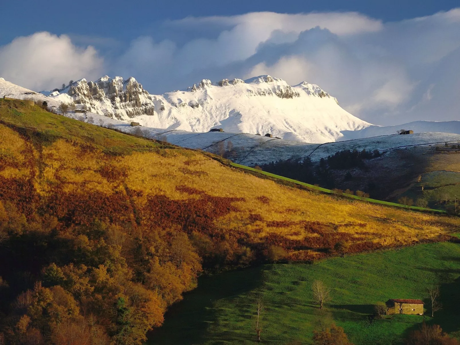 Fachwerkhaus mit Garten - Image-tags.info