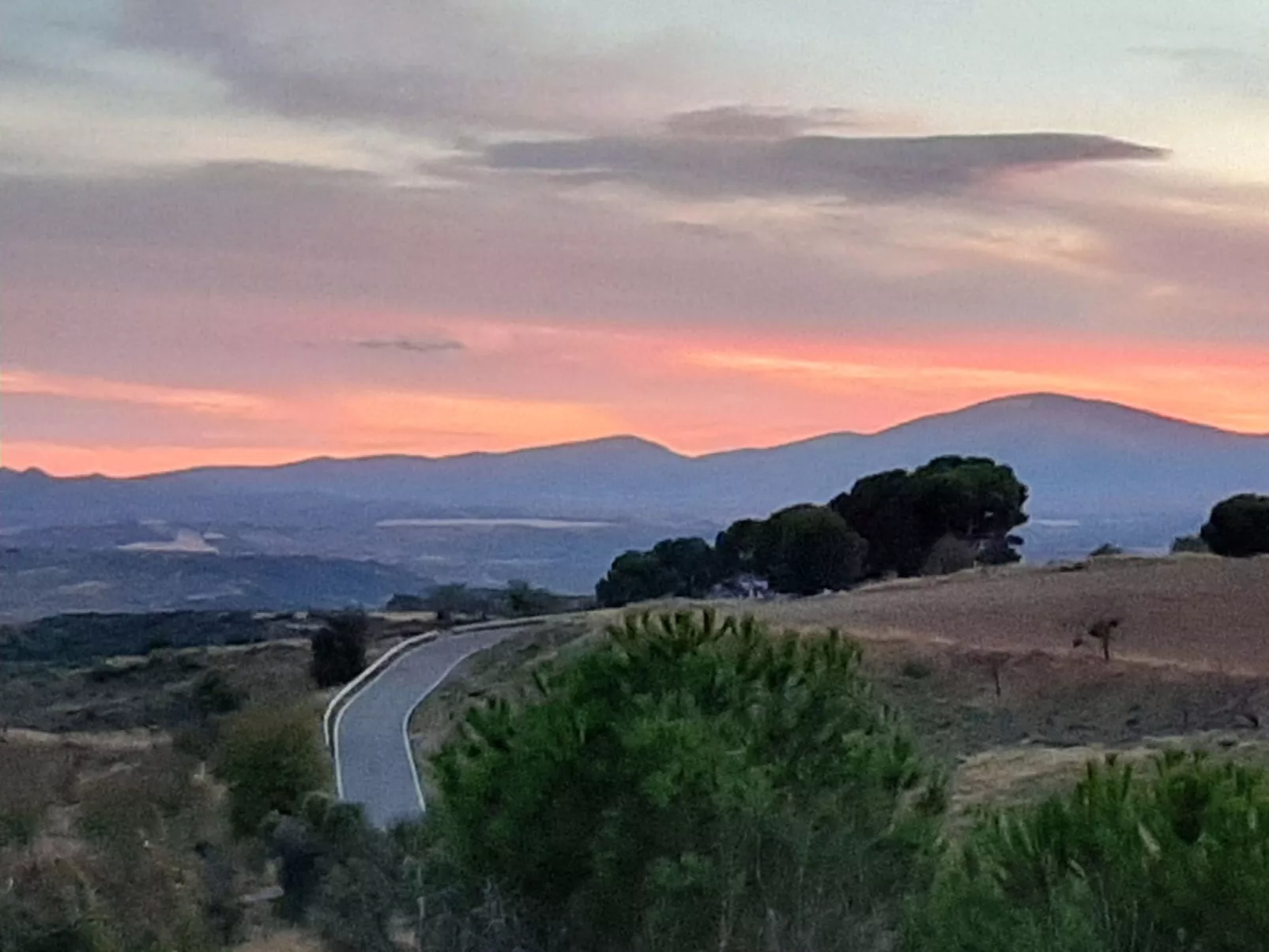 Weingut "Garnacha de Borja".-Buiten