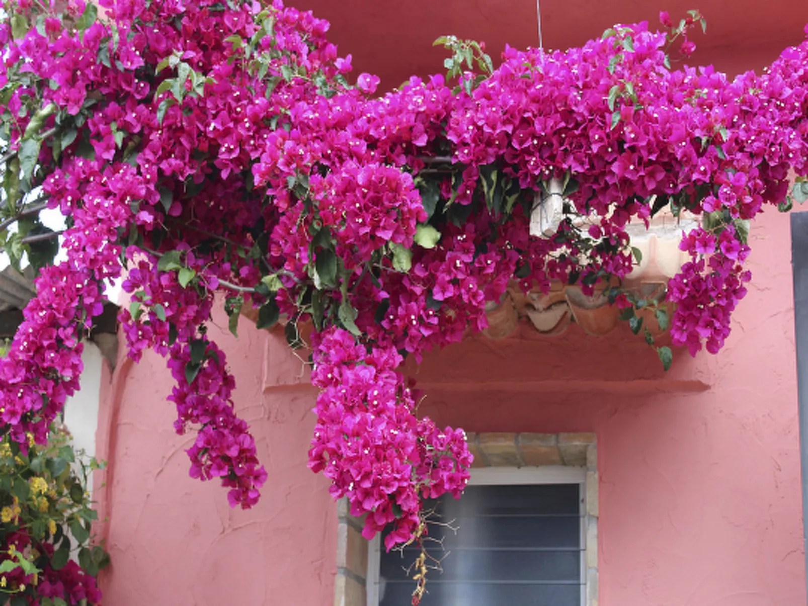 Casa Ana Mari-Image-tags.info